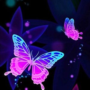 Meet your Posher, Lesly